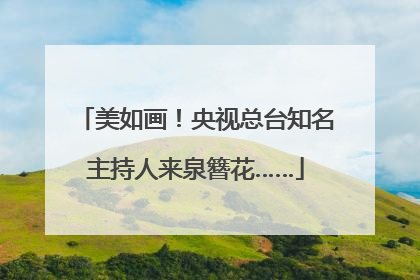 美如画！央视总台知名主持人来泉簪花……