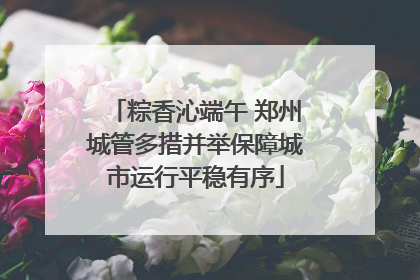 粽香沁端午 郑州城管多措并举保障城市运行平稳有序