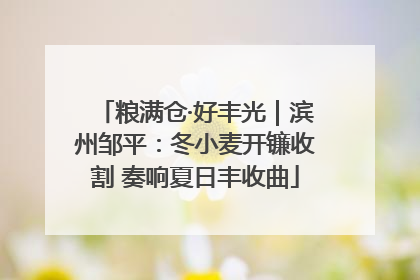 粮满仓·好丰光｜滨州邹平：冬小麦开镰收割 奏响夏日丰收曲