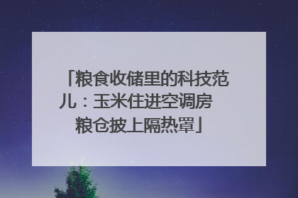粮食收储里的科技范儿：玉米住进空调房 粮仓披上隔热罩