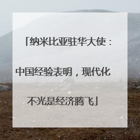 纳米比亚驻华大使：中国经验表明，现代化不光是经济腾飞