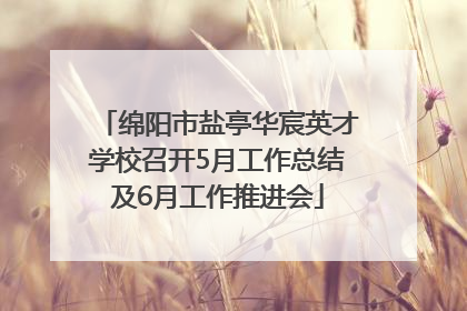 绵阳市盐亭华宸英才学校召开5月工作总结及6月工作推进会