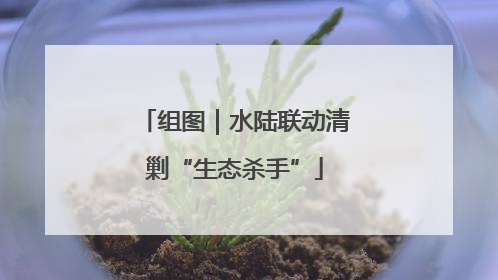 组图｜水陆联动清剿“生态杀手”