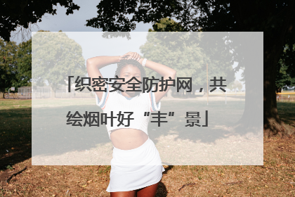 织密安全防护网，共绘烟叶好“丰”景