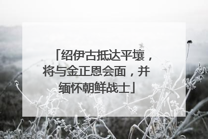 绍伊古抵达平壤，将与金正恩会面，并缅怀朝鲜战士