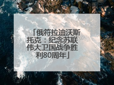 俄符拉迪沃斯托克：纪念苏联伟大卫国战争胜利80周年
