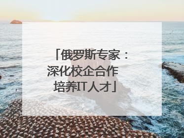 俄罗斯专家：深化校企合作 培养IT人才