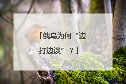 俄乌为何“边打边谈”？