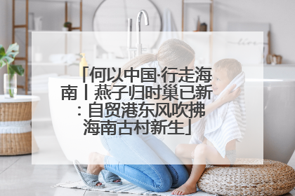 何以中国·行走海南丨燕子归时巢已新：自贸港东风吹拂 海南古村新生