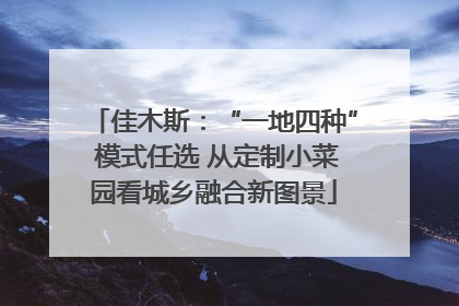 佳木斯：“一地四种” 模式任选 从定制小菜园看城乡融合新图景