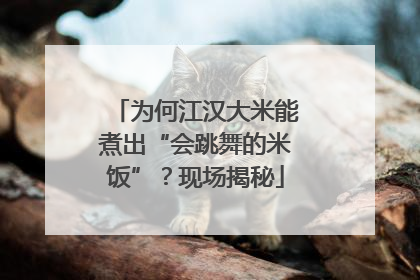 为何江汉大米能煮出“会跳舞的米饭”？现场揭秘