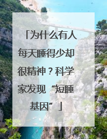 为什么有人每天睡得少却很精神？科学家发现“短睡基因”