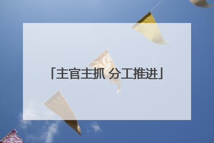 主官主抓 分工推进
