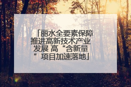 丽水全要素保障推进高新技术产业发展 高“含新量”项目加速落地