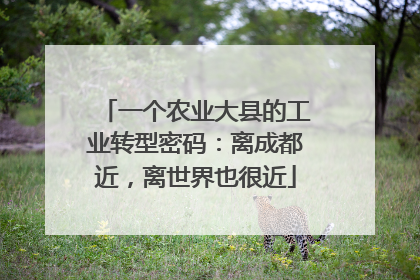 一个农业大县的工业转型密码：离成都近，离世界也很近