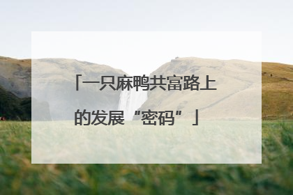 一只麻鸭共富路上的发展“密码”