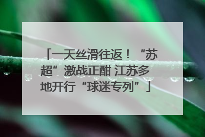 一天丝滑往返！“苏超”激战正酣 江苏多地开行“球迷专列”