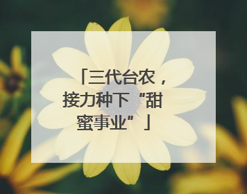 三代台农，接力种下“甜蜜事业”