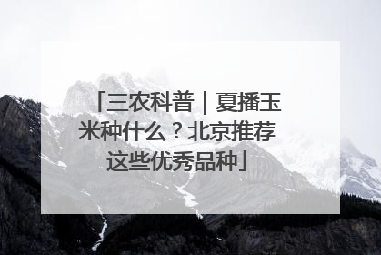 三农科普｜夏播玉米种什么？北京推荐这些优秀品种