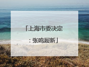上海市委决定：张鸣履新