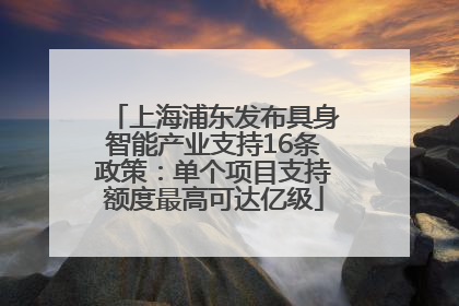 上海浦东发布具身智能产业支持16条政策：单个项目支持额度最高可达亿级