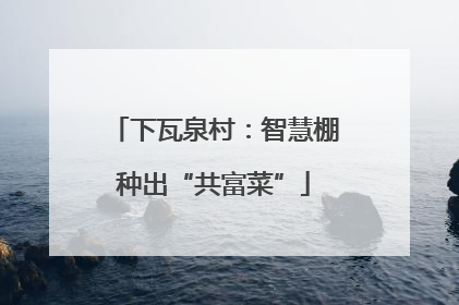 下瓦泉村：智慧棚种出“共富菜”