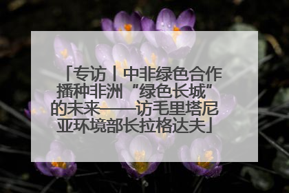 专访丨中非绿色合作播种非洲“绿色长城”的未来——访毛里塔尼亚环境部长拉格达夫
