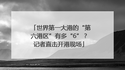 世界第一大港的“第六港区”有多“6”？记者直击开港现场