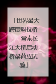 世界最大跨度斜拉桥——常泰长江大桥启动桥梁荷载试验