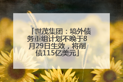 世茂集团：境外债务重组计划不晚于8月29日生效，将削债115亿美元