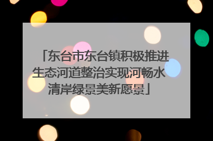 东台市东台镇积极推进生态河道整治实现河畅水清岸绿景美新愿景