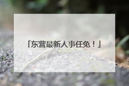 东营最新人事任免！