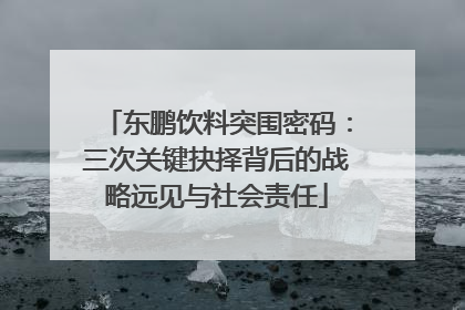 东鹏饮料突围密码：三次关键抉择背后的战略远见与社会责任