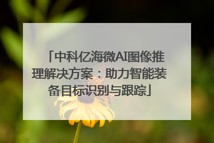 中科亿海微AI图像推理解决方案：助力智能装备目标识别与跟踪