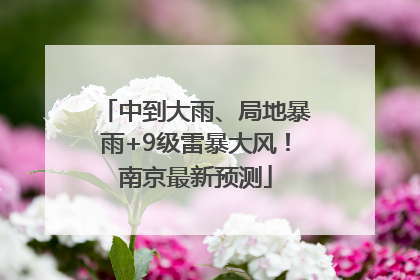中到大雨、局地暴雨+9级雷暴大风！南京最新预测