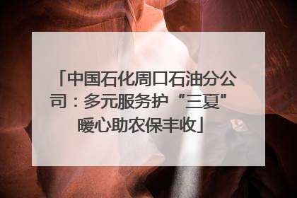 中国石化周口石油分公司：多元服务护“三夏” 暖心助农保丰收
