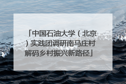 中国石油大学（北京）实践团调研南马庄村解码乡村振兴新路径