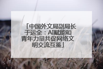 中国外文局副局长于运全：AI赋能和青年力量共促网络文明交流互鉴