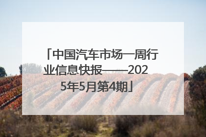 中国汽车市场一周行业信息快报——2025年5月第4期