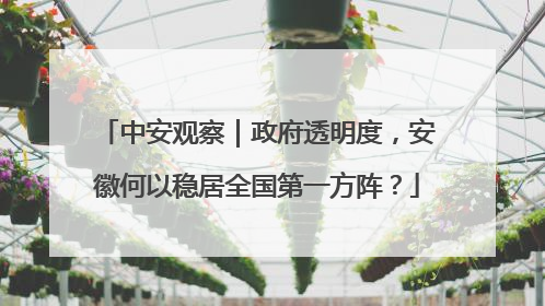 中安观察｜政府透明度，安徽何以稳居全国第一方阵？