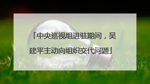 中央巡视组进驻期间，吴建平主动向组织交代问题