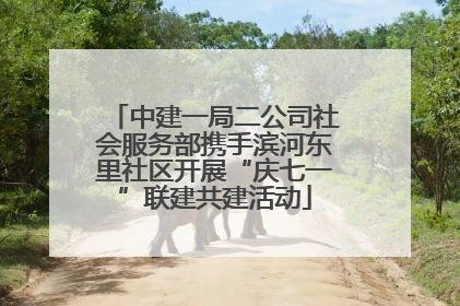 中建一局二公司社会服务部携手滨河东里社区开展“庆七一”联建共建活动
