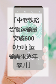 中老铁路货物运输量突破6000万吨 运输需求逐年攀升