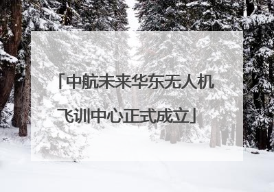 中航未来华东无人机飞训中心正式成立