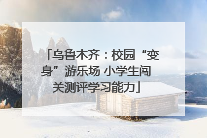 乌鲁木齐：校园“变身”游乐场 小学生闯关测评学习能力