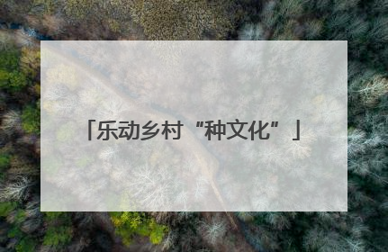 乐动乡村“种文化”