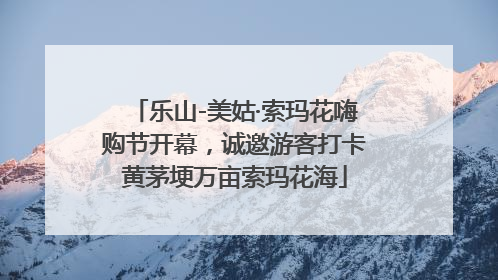 乐山-美姑·索玛花嗨购节开幕，诚邀游客打卡黄茅埂万亩索玛花海