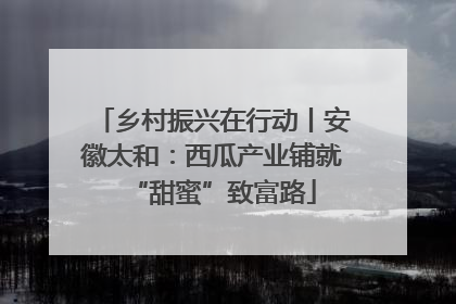 乡村振兴在行动丨安徽太和：西瓜产业铺就“甜蜜”致富路