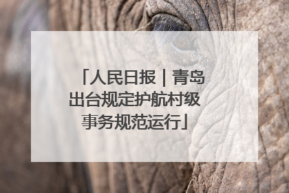 人民日报｜青岛出台规定护航村级事务规范运行