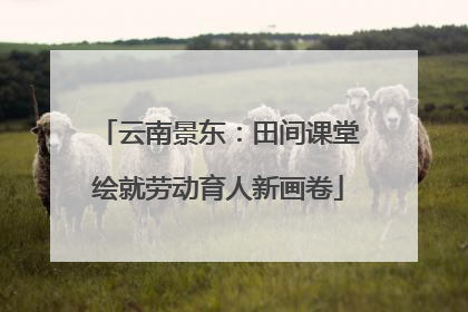 云南景东：田间课堂绘就劳动育人新画卷